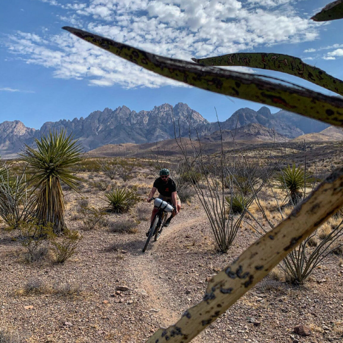 Ride - Bikepacking Roots