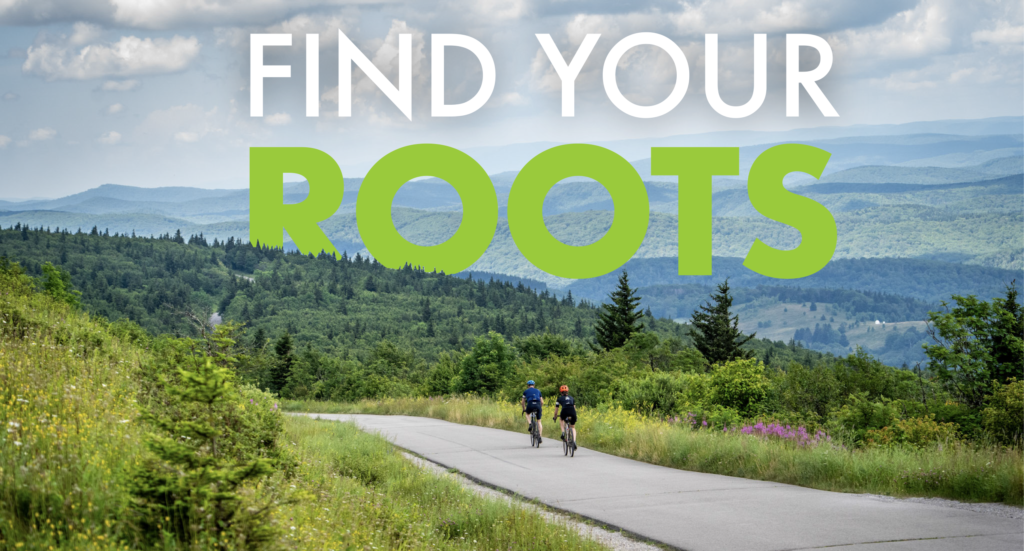 The Mon Forest Gravel & Bikepacking Route Network is Here!